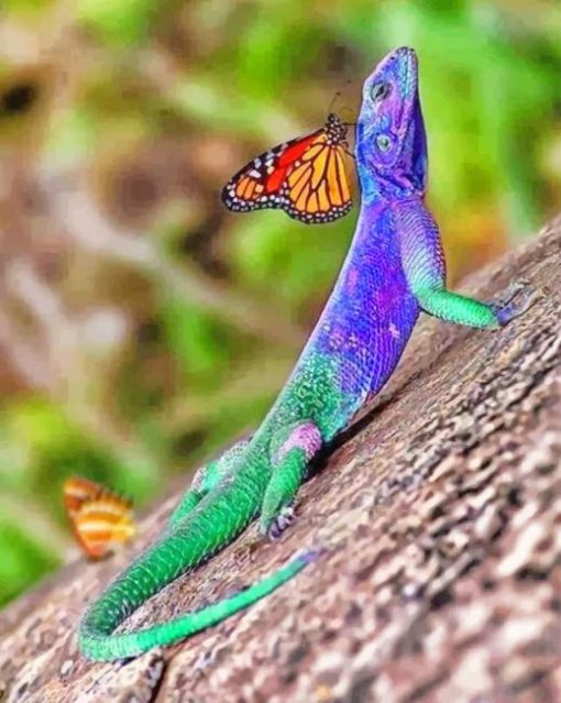 Lizard And Butterfly adult paint by numbers