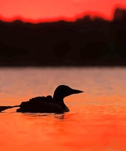 Loons Summer Sunset paint by number