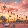 Los angeles palm tree sunset adult paint by numbers