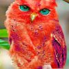 Madagascar Red Owl adult paint by numbers