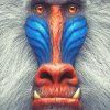 Mandrill Illustration adult paint by numbers