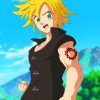 Meliodas x Reader adult paint by numbers