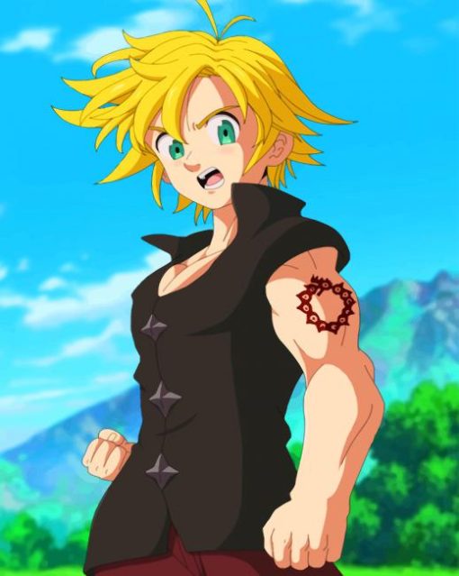 Meliodas x Reader adult paint by numbers