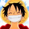 One Piece Luffy adult paint by numbers