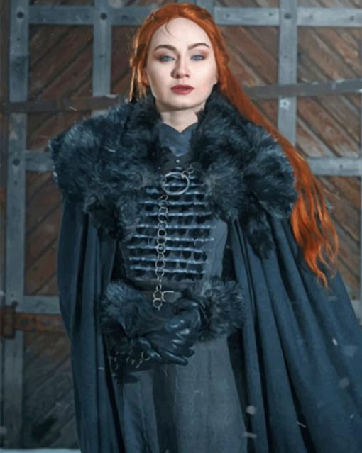 Sansa Stark GOT adult paint by numbers