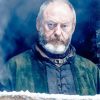 Ser Davos Seaworth GOT adult paint by numbers