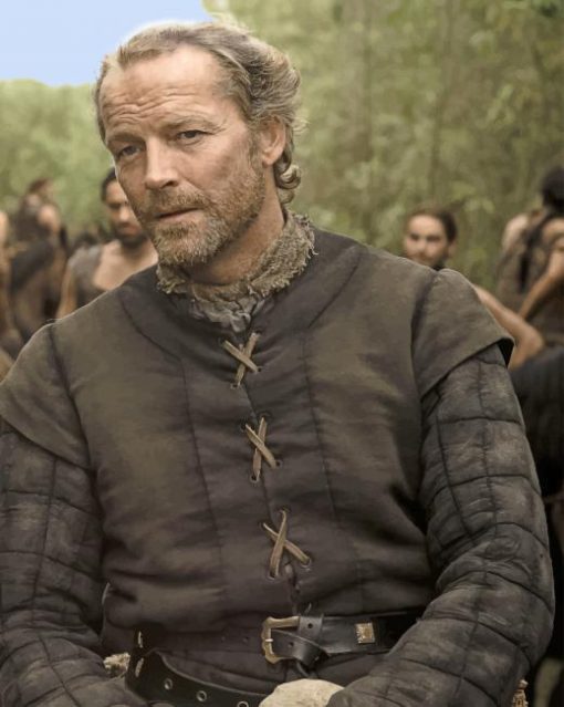 Ser Jorah GOT adult paint by numbers