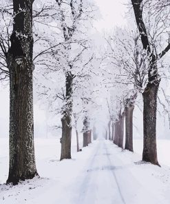 Snowy Pathway Surrounded By Trees paint by number