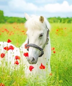 White Horse Flowers Field paint by number