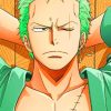 Zoro One piece adult paint by numbers