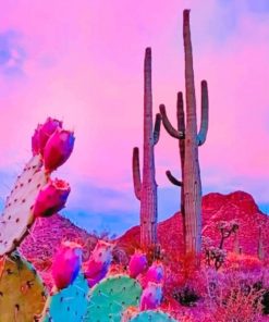 Aesthetic Sky Cactus Paint By Numbers