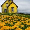 Aesthetic Yellow House paint by number