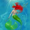 Ariel Mermaid paint By numbers