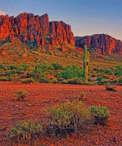 Arizona Desert Paint By Numbers