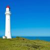 Australian Light House Paint By Numbers