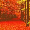 Autumn Aesthetic Forest paint by number