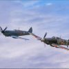 Supermarine Spitfire paint by numbers