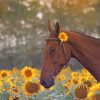 Beautiful Brown Horse paint by number