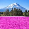 Beautiful Mountain Purple Flower Field Paint By Numbers