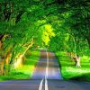 Beautiful Nature Road paint by numbers