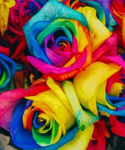 Beautiful Rainbow Flowers paint by number