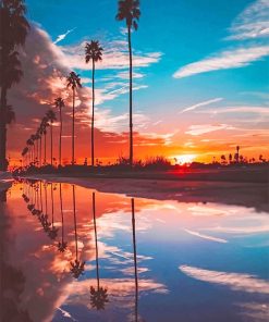 Beautiful Sunset Palm Spring paint by number