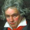 Beethoven Paint By Numbers