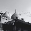 Black And White Mosque Photography paint by number