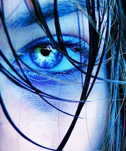 blue eye adult paint by numbers