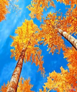 Blue Sky Autumn paint by number