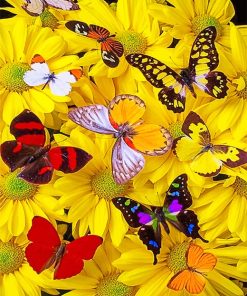 Butterflies Yellow Flowers paint by number