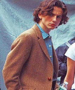 Classy Timothée Chalamet Paint By Numbers