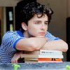 Classy Handsome Timothee Chalamet paint by number