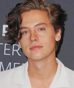 Cole Sprouse Curly Hair paint by numbers