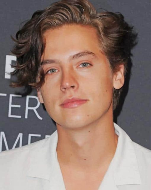 Cole Sprouse Curly Hair paint by numbers