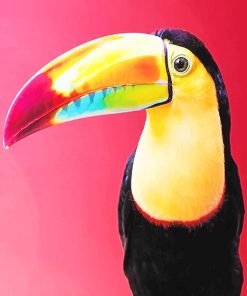 Colorful Toucan Paint By Numbers