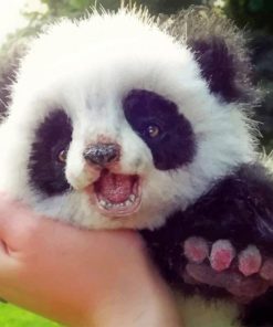 Cute Baby Panda paint by numbers