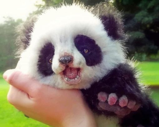 Cute Baby Panda paint by numbers