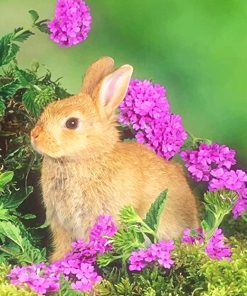 cute blonde bunny adult paint by numbers