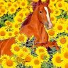 Cute Horse Sunflowers paint by number