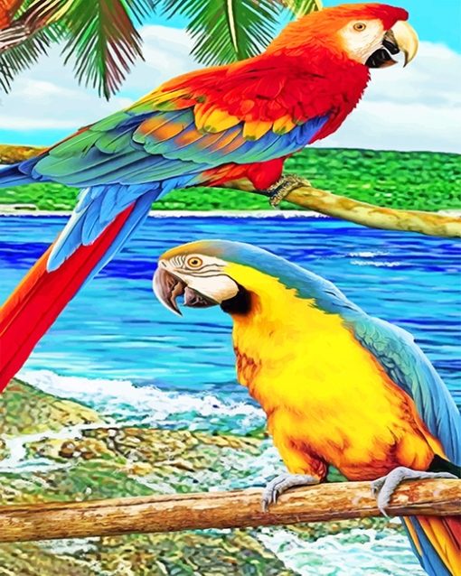 Cute Parrots paint by numbers