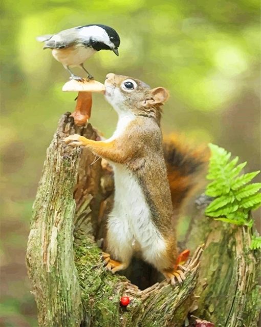 Cute Squirrel And Bird paint By Numbers