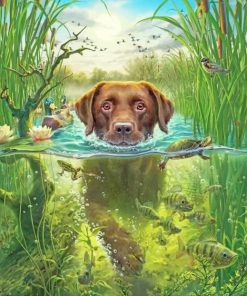 Dog In The Water Paint By numbers