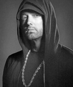 Eminem Photoshoot paint by numbers