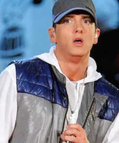 Eminem the american rapper paint by numbers