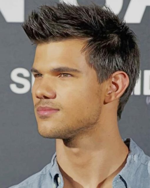 Famous Actor Taylor Lautner paint by numbers