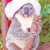 Funny Christmas Koala paint by numbers