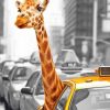 Giraffe Looking Through Taxi Window paint By Numbers