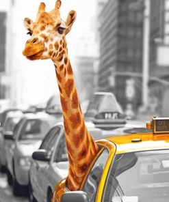 Giraffe Looking Through Taxi Window paint By Numbers