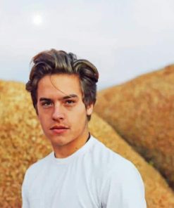 Handsome Dylan Sprouse Paint By Numbers